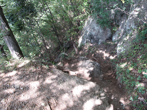 20151006hike (99)